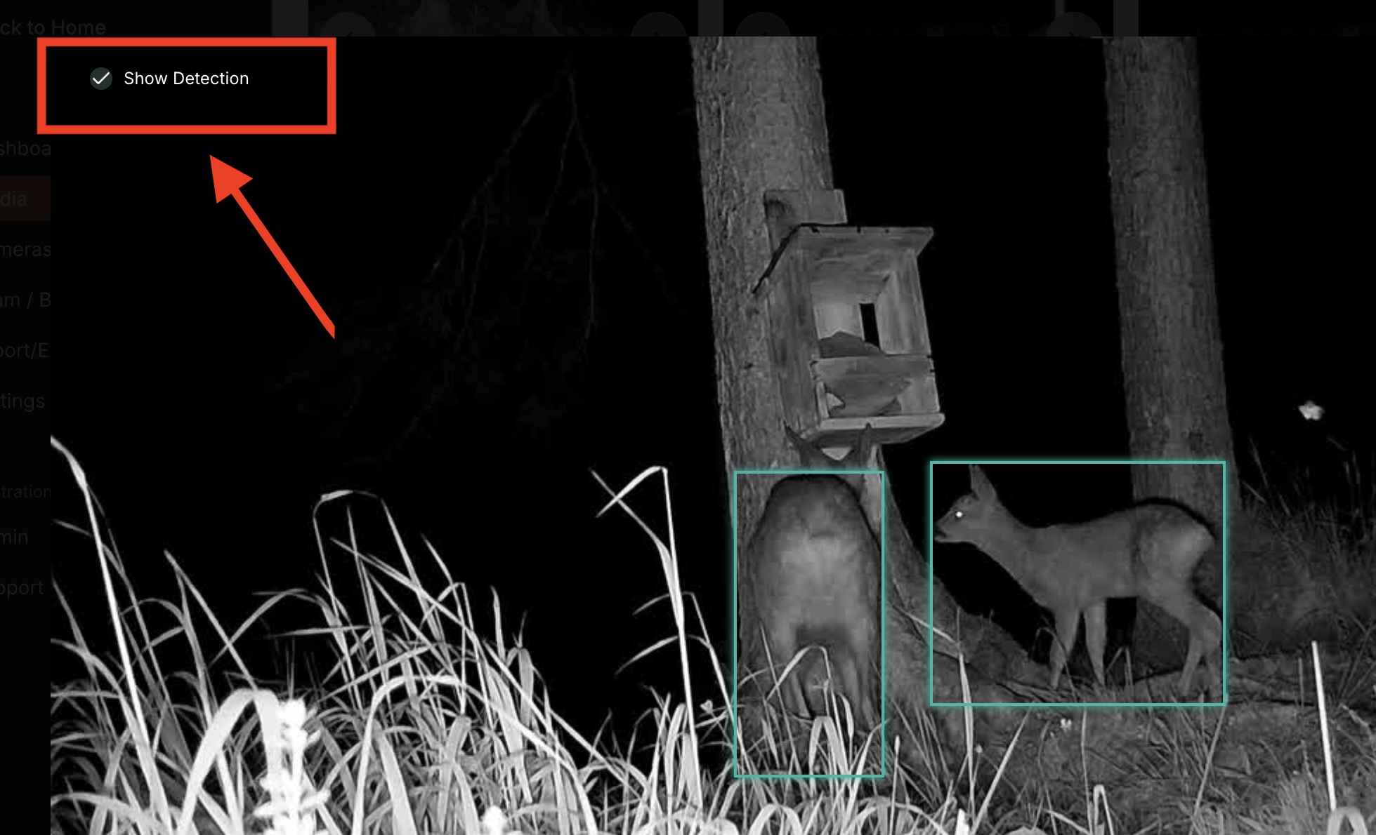 hide-detection.jpg